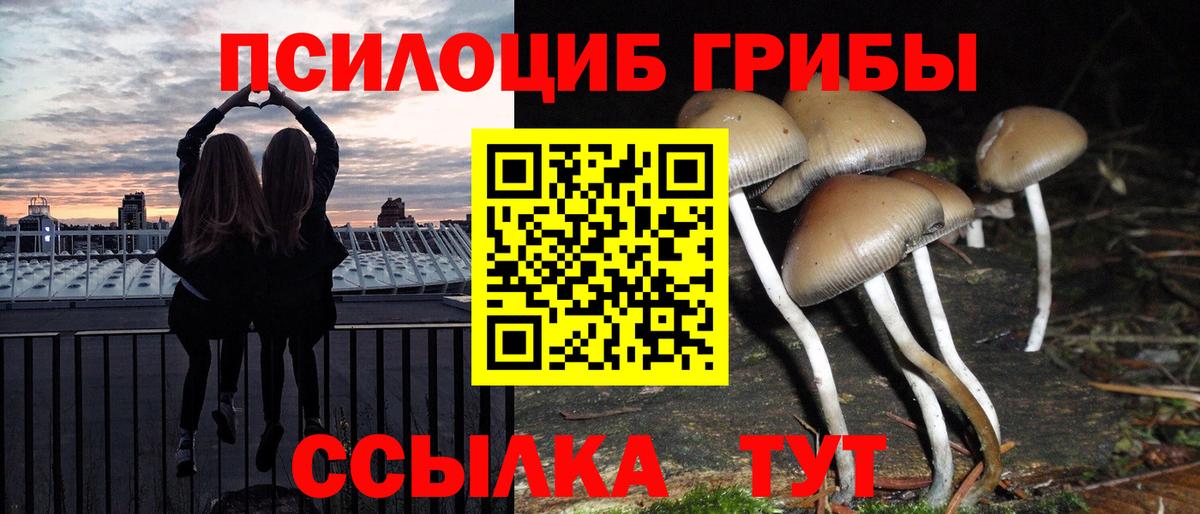 Кашира  Псилоцибиновые грибы прущие грибы  Вход с VPN 